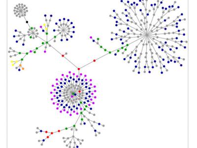 a network of data points